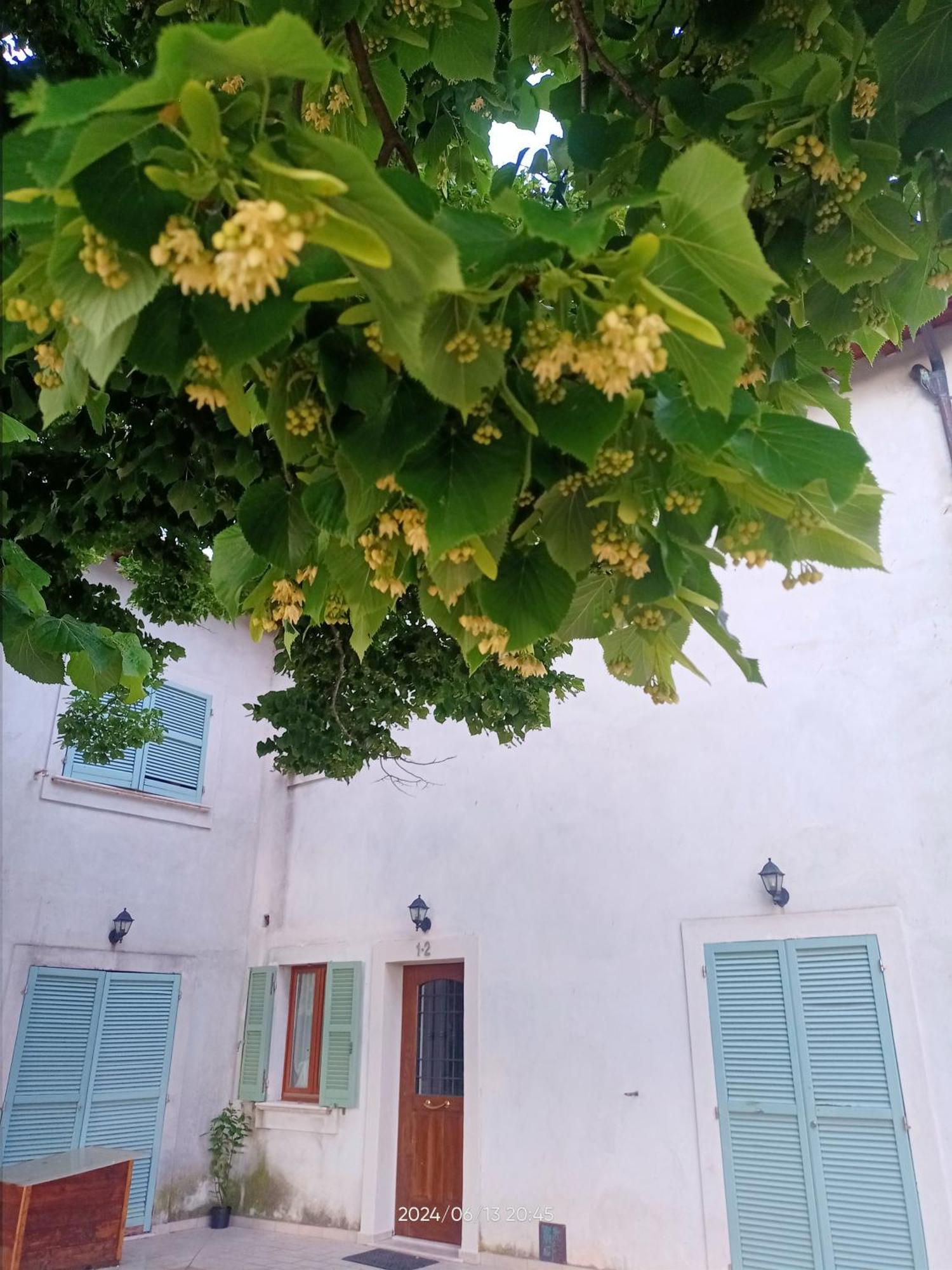 Agriturismo San Martino โฟลีโญ ภายนอก รูปภาพ