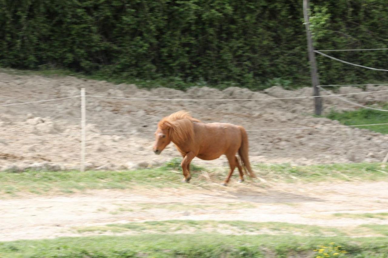 Agriturismo San Martino โฟลีโญ ภายนอก รูปภาพ