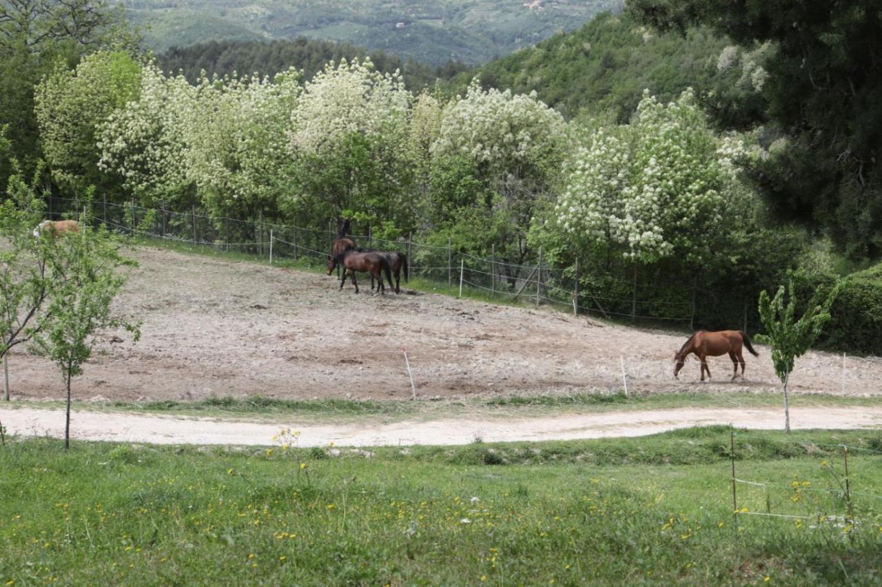 Agriturismo San Martino โฟลีโญ ภายนอก รูปภาพ