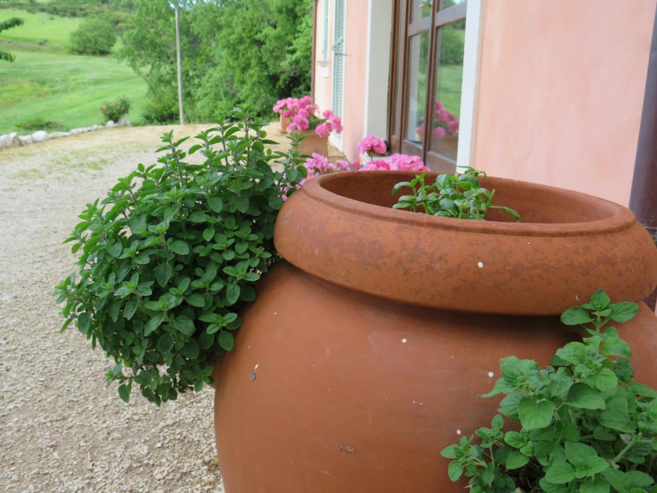 Agriturismo San Martino โฟลีโญ ภายนอก รูปภาพ